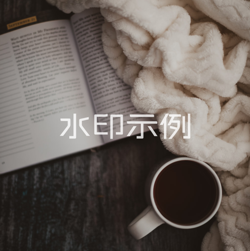 参考图片2