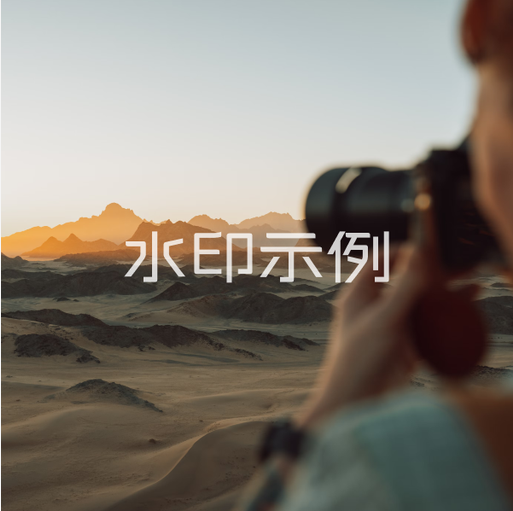 参考图片3