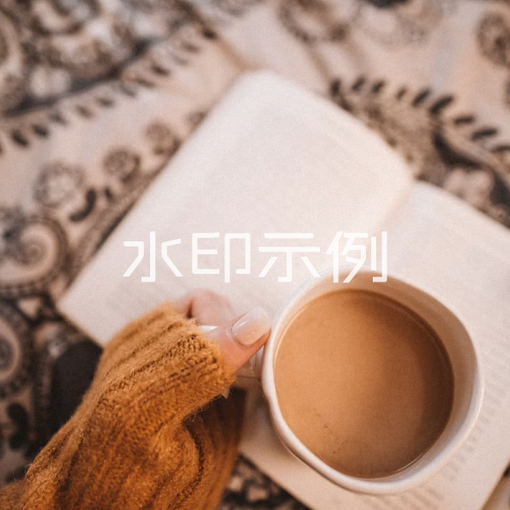 参考图片4