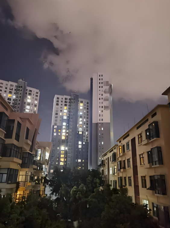 参考图片4